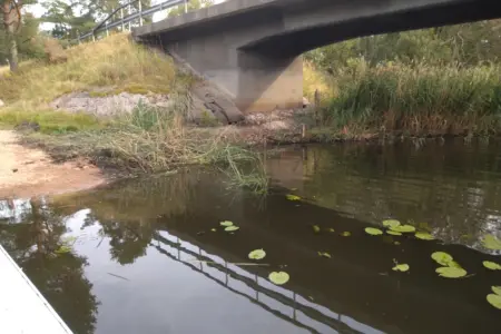 Äntligen är det rensat! Inget mer skräp vid bron i Frinnaryd