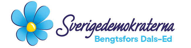 SD Bengtsfors Dals-Ed