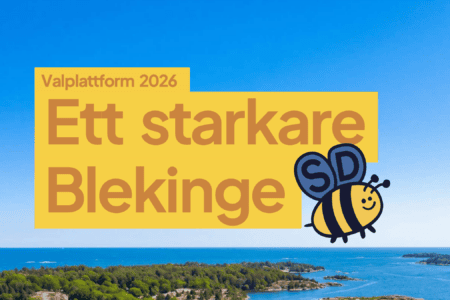 Sverigedemokraternas valplattform 2026