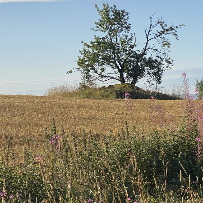 Trygghet för landsbygden