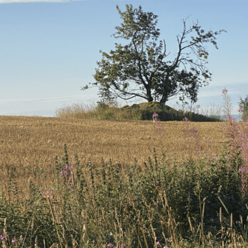 Trygghet för landsbygden