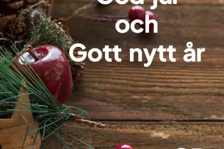 God Jul önskar vi alla