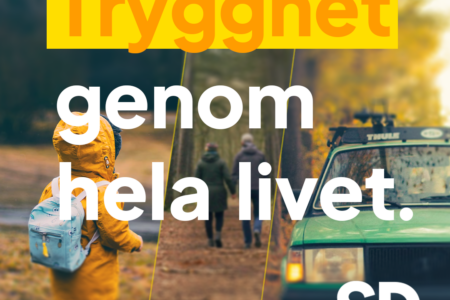 Sverigedemokraternas budget för 2025