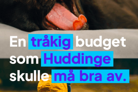 Sverigedemokraternas budget för 2026