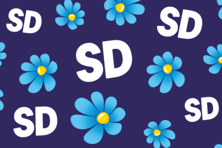 SD Malmös Valmanifest 2026
