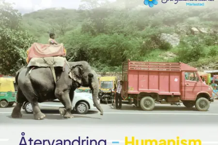 DEBATT: Möjlighet till återvandring är en fråga om humanism