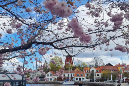 Läs vårt valmanifest för 2026-2030