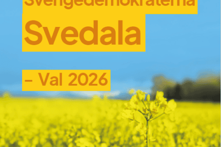 Detta vill Sverigedemokraterna i Svedala