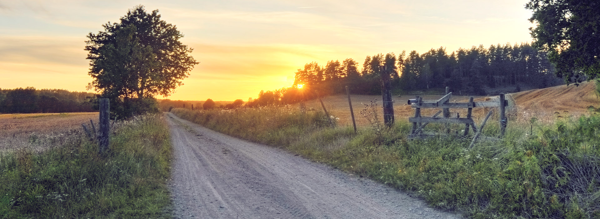 Toppbild för Start
