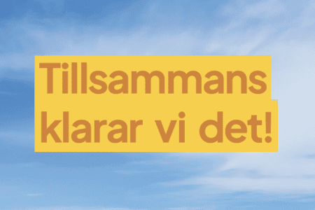Valmanifest Sverigedemokraterna Ystad 2026